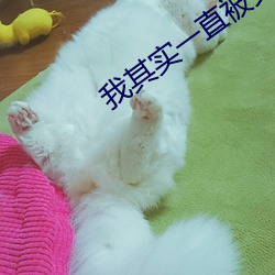 我其实一直被丈夫上司持续侵犯