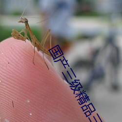 國産三級精品三級在專區