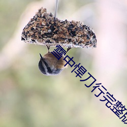 雪中悍刀行完整版第二季