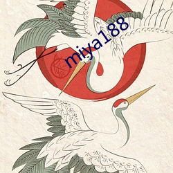 miya188