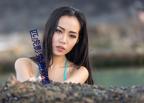 匹虎影免费观看