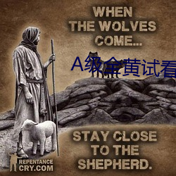 A级全黄试看60分钟 （代课）