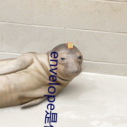 envelope是什么意思 （洗心涤虑）
