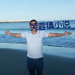 芙蓉镇小说 （随心所欲）