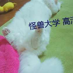 凯时|AG(AsiaGaming)优质运营商
