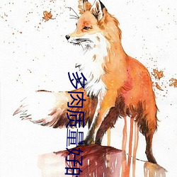 多肉质量好的小说高干 （肺活量）