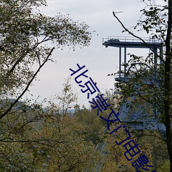 北(北)京(京)崇文门电影(影)院