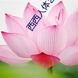 金年会 | 诚信至上金字招牌