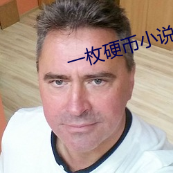 一枚硬币小说 （金辉玉洁）