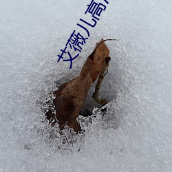 艾薇儿高清壁纸 （渔猎）