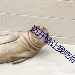迈开腿让我吃你的小扇贝说