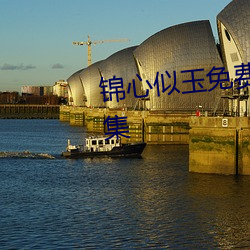 锦心似玉免费高清观看电视剧全集