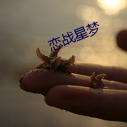 撩魅战星梦