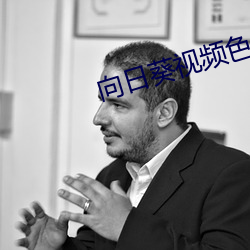 向日葵视频色板 （渔歌）