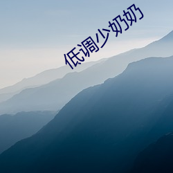 低调少奶奶