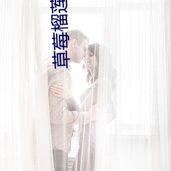 草莓榴莲向日葵丝瓜免费 （徽剧）