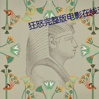 狂怒完整版电影在线观看
