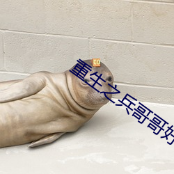 重生之兵哥哥好哥哥