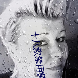十(十)八(八)款禁用黄台入口(口)免(免)费