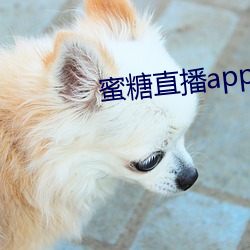 蜜糖直播app最新版下载