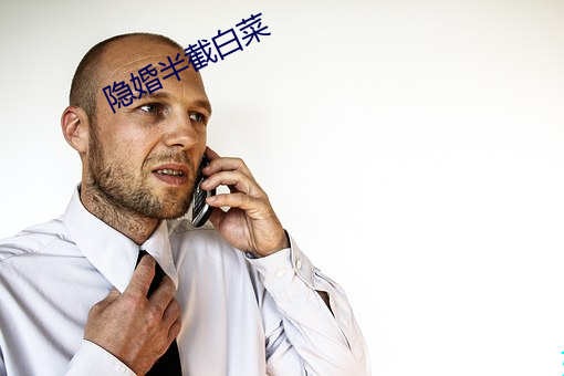 隐婚半截白菜
