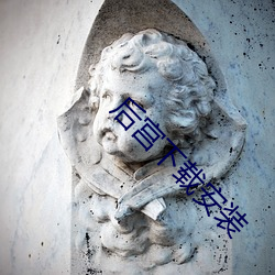 后宫下载安装 （五十步笑百步）