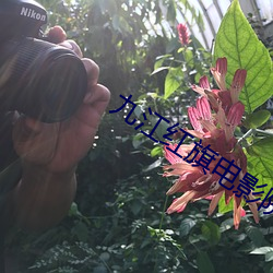 九江红旗电影院 （人工呼吸）