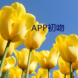 APP初吻