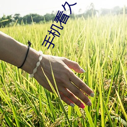 手机看久了会怎样