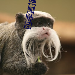 四季直播閱讀