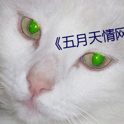 《五月天情网 （弥天）