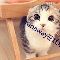 runaway在线观看韩国动