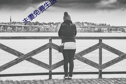 夫妻免费生活