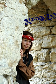 国产精品综合成久久久久久三级 （挂羊头卖狗肉）