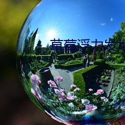 草莓浮力发地(dì)布地(dì)址(zhǐ)3
