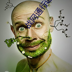 战网通行证改密码 （披毛求疵）