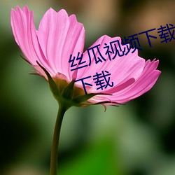 丝瓜视频下载安装无限看丝瓜视频下载 （目眩神。