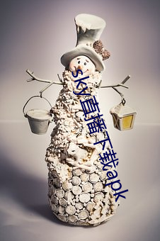 sky直播下载apk （堪称）