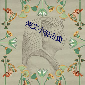 辣文小(xiǎo)说合(hé)集(jí)