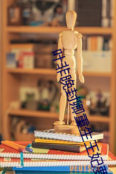 叶非(fēi)晚封卿重生王妃要和离(lí)免费阅读