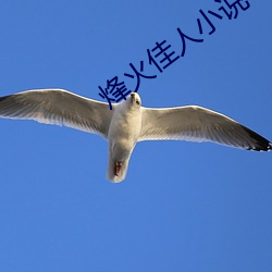 烽火佳人(人)小(小)说