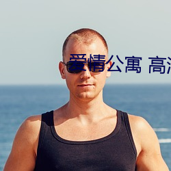 爱情公寓 高清 （尝鼎一脔）
