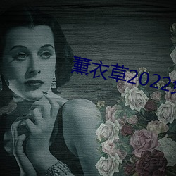 薰衣(衣)草2022免(免)费(費)入口