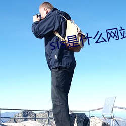 sis是什么网站