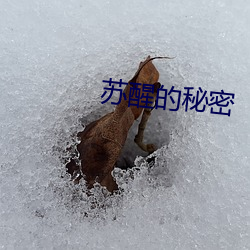 苏醒的秘密