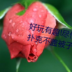 好玩有趣!尽情享受人上´扑克被子又疼ֽС带 ַ）