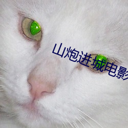 山炮进城电影(影)完整(整)版(版)免费观看