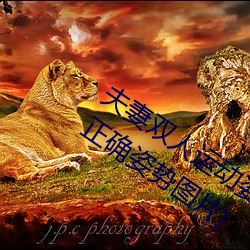 夫妻双人运动(dòng)姿势72招(zhāo)图片 (双人运动的正确姿势图片(piàn))
