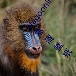 Nagoonimation CG3D 全套无修原画动漫游戏角色4K高清壁纸