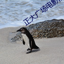 正大广场电影院